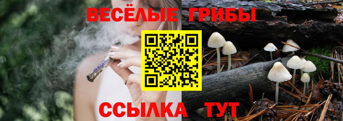 Псилоцибиновые грибы Magic Shrooms Топки