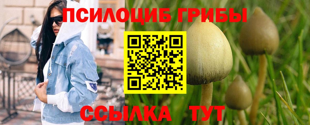 Топки  что такое   Галлюциногенные грибы Magic Shrooms  Вход с VPN  Галлюциногенные грибы мухоморы 